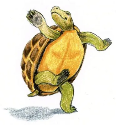  The Dancing Tortoise - A Whimsical Tale Highlighting the Perils of Vanity and the Importance of Humility!